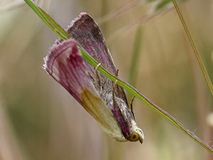 Vignette Rencontres 2016-6.jpg